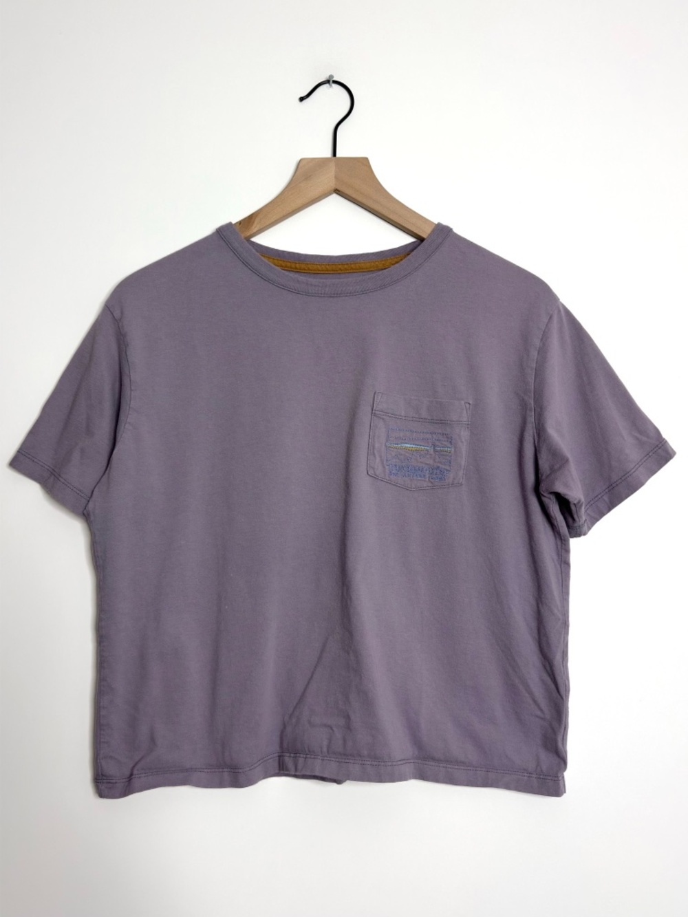 Patagonia '73 Skyline Organic Easy Cut Pocket Tee